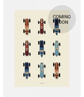 Race cars poster 50x70 cm